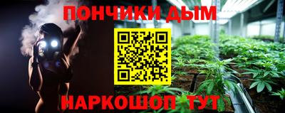 индика Гусиноозёрск