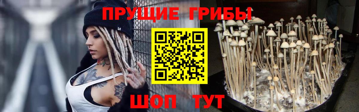 Мариинск  Галлюциногенные грибы мухоморы  Вход с VPN 